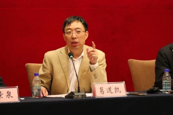 葛道凯司长主持会议并作总结